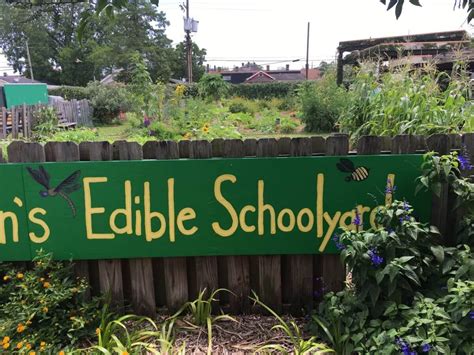 Plant Chat Edible Schoolyard New Orleans Sharon Palmer The Plant