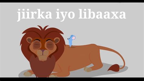 Sheeko Caruureed Sheekadii Libaaxa Iyo Jiirka Cartoon Af Somali