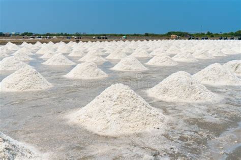 Sea Salt Evaporation At Thailand Stock Image Image Of Mineral