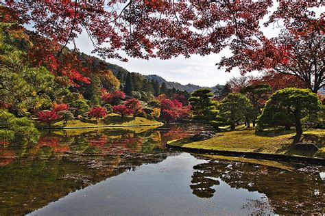 Japan Kyoto Park Autumn Leaves Pond Tree Plant Water