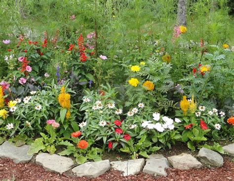 Wildflower Yard Designs Free Flower Garden Ideas Photograph Free