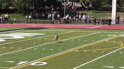 Use them in commercial designs under lifetime, perpetual & worldwide rights. Deer on Football Field - YouTube