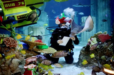 Sea Life Aquarium Visit Carlsbad