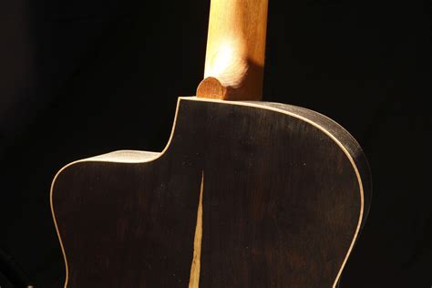 African Blackwood Tonewood Guitar