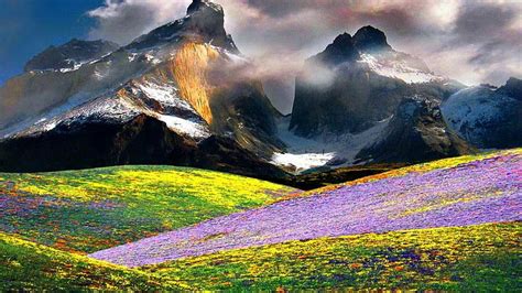 Mountain Meadows Mountain Wildflowers Peaks Slope Nature Clouds