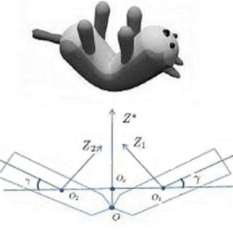 Free Falling Cat And The Model Download Scientific Diagram