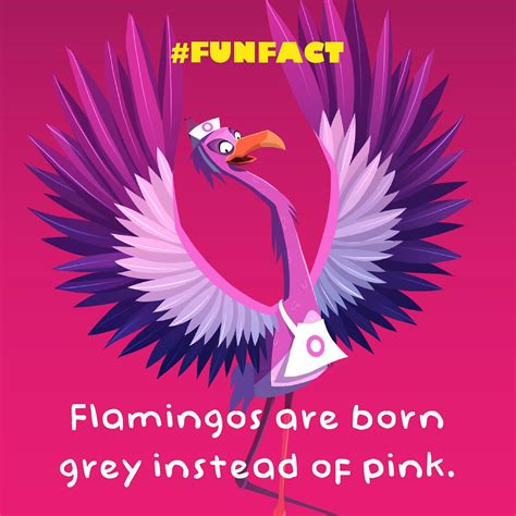 23 Fantastically Fun Facts For Kids Night Zookeeper Blog