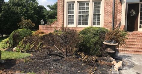 Update Brentwood Arson Incident Being Investigated By Bpd Tbi