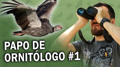 Papo de PASSARINHO 1 Sobre vídeos futuros série Brasil da Aves e