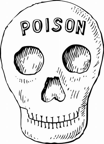 Poison Skull Clip Clipart Clker Svg Vector