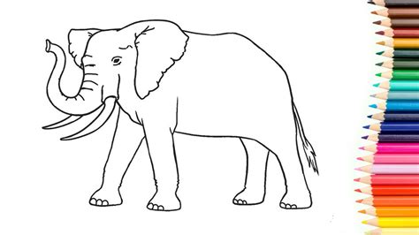 Como Desenhar Um Elefante Completo Youtube