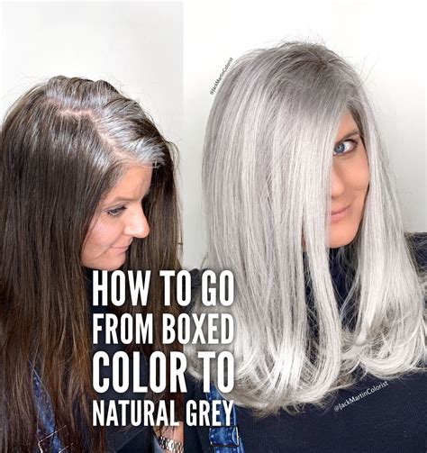 Plus Size Hairstyles Long Gray Hair Highlights Grey Hair Dye