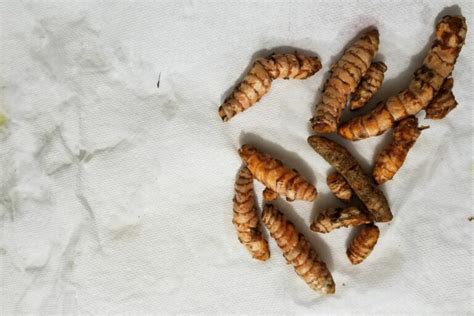 How To Store Fresh Turmeric Root Ways Low Histamine Eats