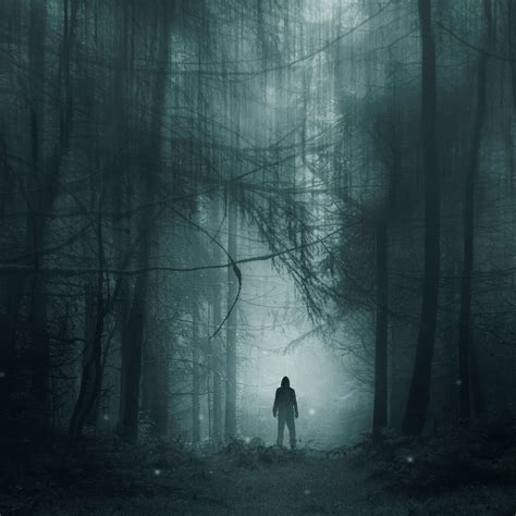 To Hear This Horror Story You Have To Walk Through A Forest In Sweden