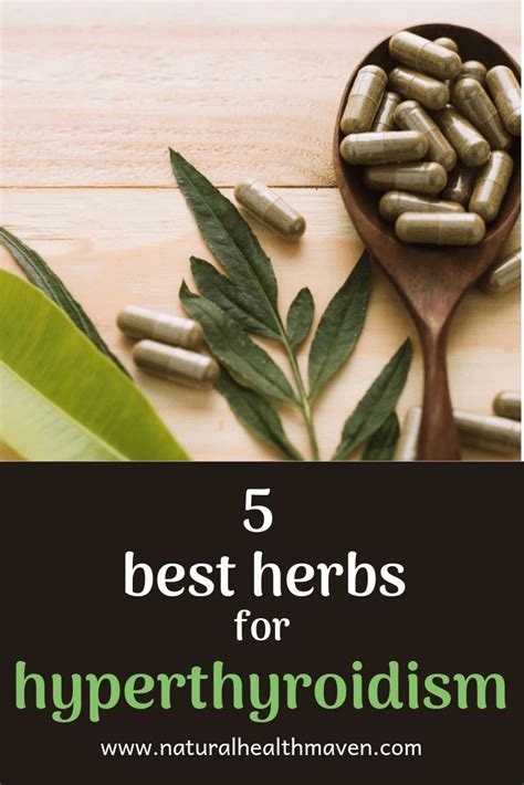 5 Best Herbs For Hyperthyroidism Overactive Thyroid Hyperthyroidism