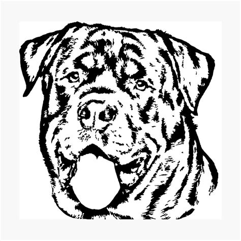 Rottweiler Coloring Pages Sketch Coloring Page