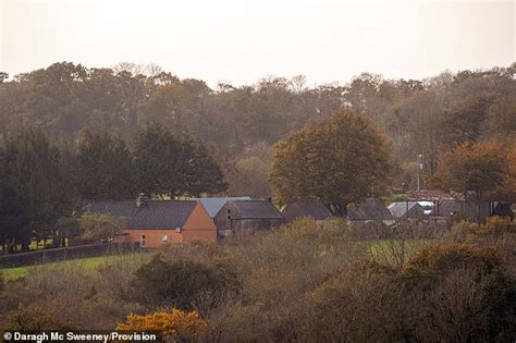Man And Grown Up Sons Found Dead On Irish Farm In Murder Suicide