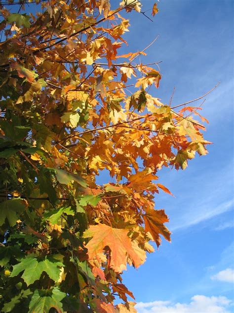 Autumn Colours Andy Aldridge Flickr
