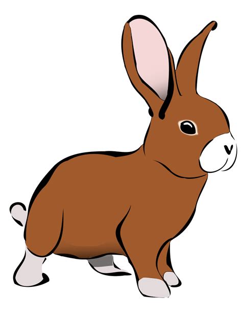 Rabbit Clip Art Images Free Clipart Images