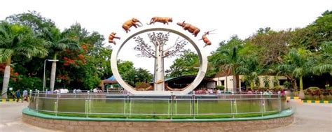 Nehru Zoological Park Hyderabad Timings Entry Tickets Address