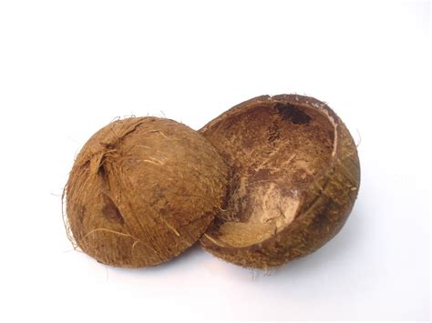 Free Images Food Palm Produce Tropical Nut Half Halves
