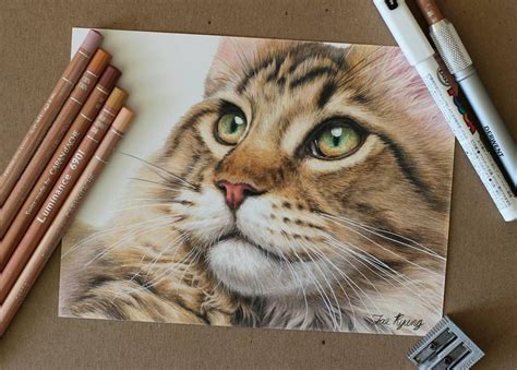 Cute Kittens And Puppies Drawings Animal Drawings Puppy Drawing Color Pencil Art