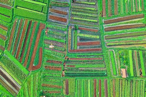 Should driving license be raised to 21 ? Tech is driving growth in Malaysia's agriculture | OpenGov ...
