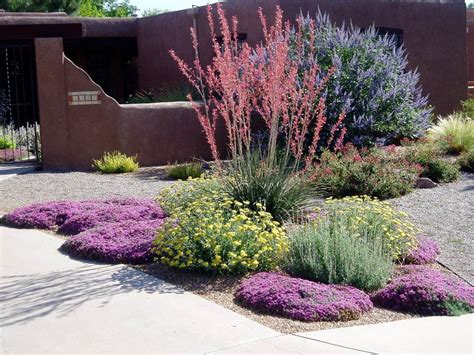 Texas Ranger Plant For A Landscape With A Water Wise And Salvia