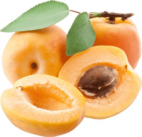Apricot Png High Quality Image Png Arts