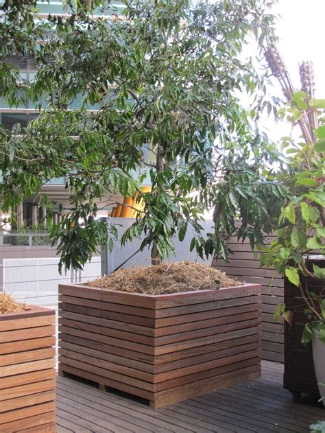 Balcony Space Cbd Melbourne — Reboxco Timber Planters Large Tree