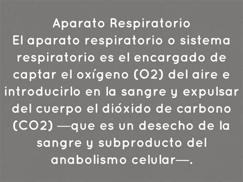 Aparato Respiratorio By Tattihernan2016