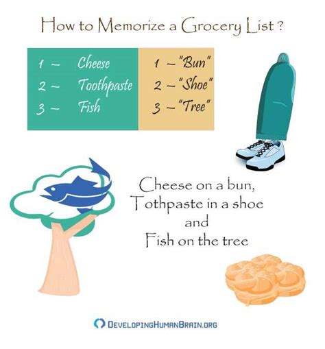 21 Best Easy Memorization Techniques For Students