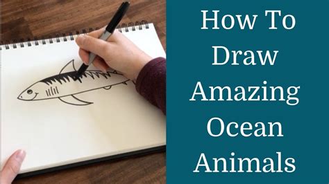 How To Draw Ocean Animals Youtube