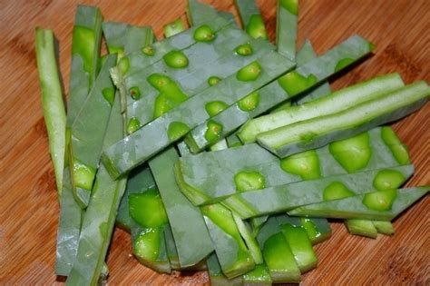 Most species in the opuntia genus have edible fruits and saguaro have members with edible parts too. Preparing and eating cactus. Also eating cactus fruit ...