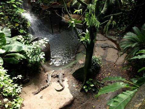 Randers Tropical Zoo Asia Dome Alligator Exhibit Zoochat