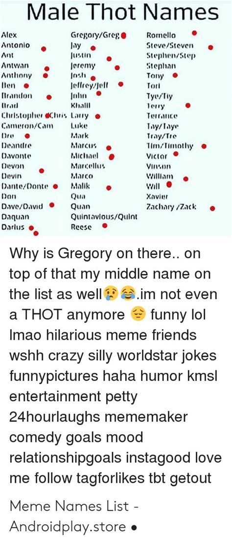 Meme Names List Meme Names Funny Wifi Names Thot Names