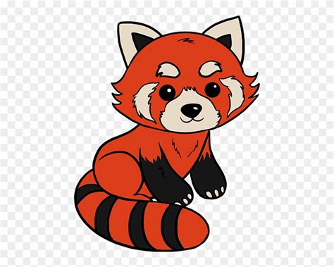 Download Red Panda Drawing Easy Red Panda Drawing Clipart 241180