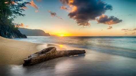 5120x2880 Driftwood On Beach At Sunset On North Shore Of