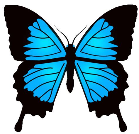 Animation Butterfly Driverlayer Search Engine