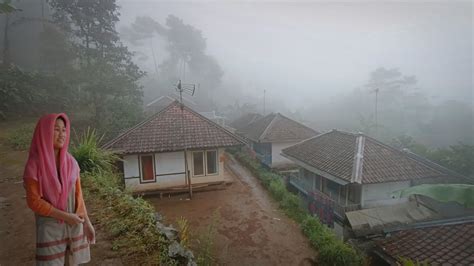 Suasana Pagi Di Kampung Yang Tenang Turun Hujan Dan Kabut Yang Indah