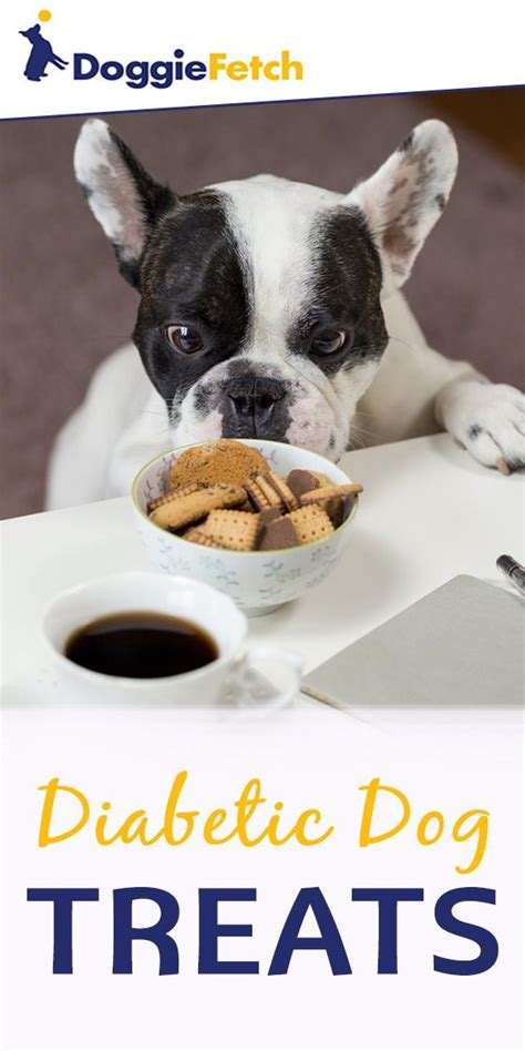 Homemade diets polarize opinion among dog owners. Best Homemade Food For Diabetic Dogs : Home Cooked Recipes For Dogs With Diabetes What Are The ...
