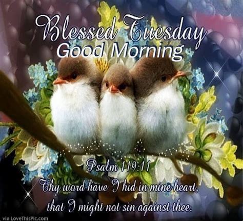 Blessed Tuesday Good Morning Pictures Photos And Images