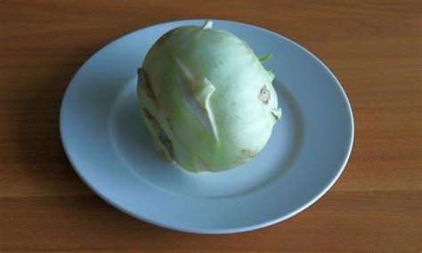 Wann ist die erntezeit von kohlrabi? Kohlrabi, roh (de)