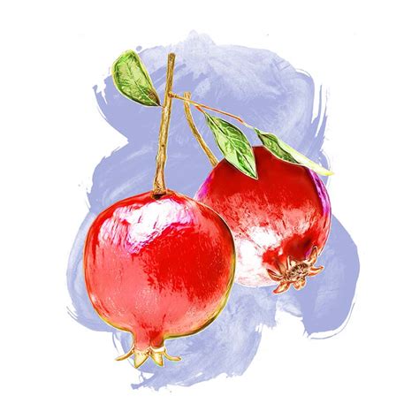 Pomegranate Illustration Pre Made And Custom Illustration By Mary Ogle