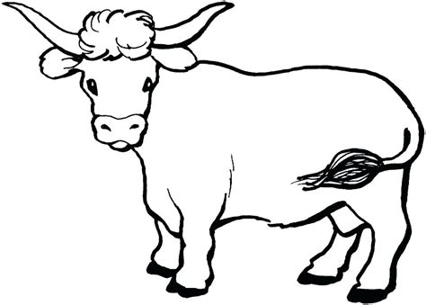 Realistic Cow Coloring Pages At Free Printable