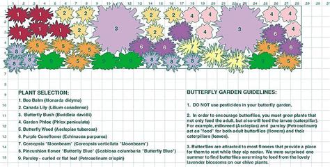 Check spelling or type a new query. Butterfly garden plans II | Butterfly garden design ...