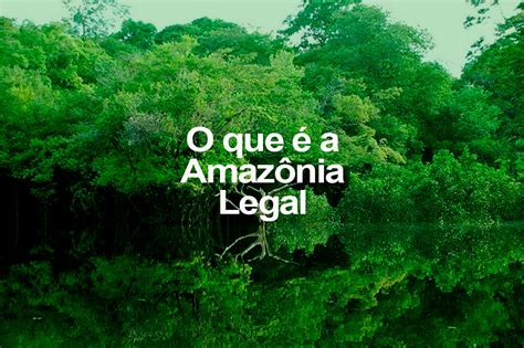 O Que é A Amazônia Legal Oeco