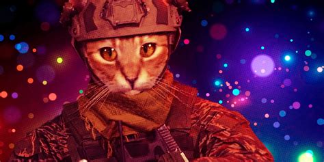 Call Of Dutys Whisker Tango Bundle Is The Perfect Kind Of Ridiculous