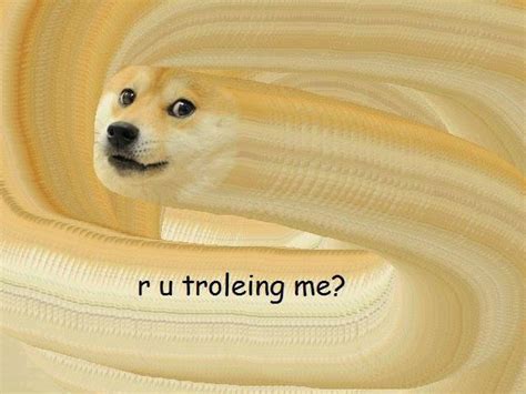 Image 588469 Doge Know Your Meme