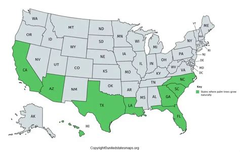 Us Area Code Map Area Code Map Of United States